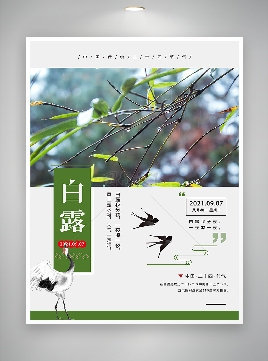 中国传统二十四节气-白露节气海报
