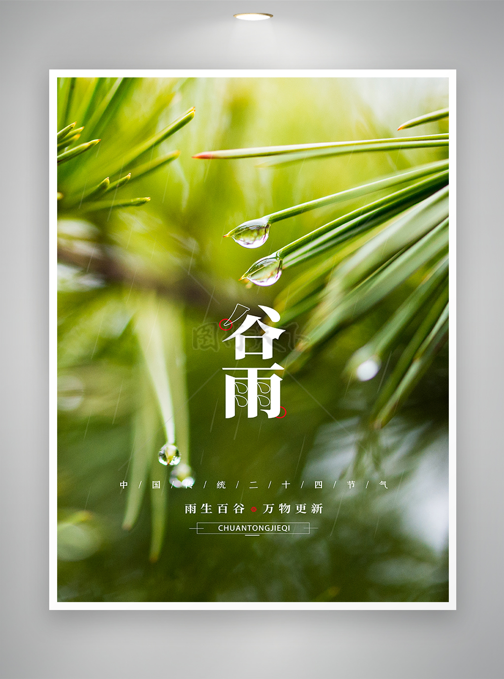 谷雨节气节日宣传海报