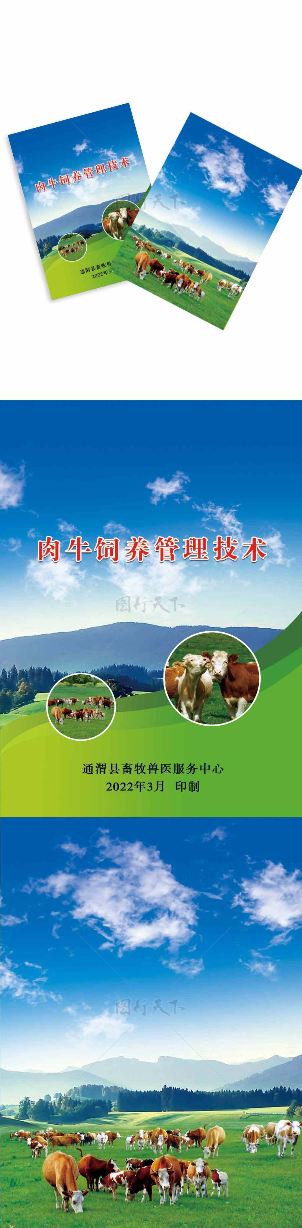大草原肉牛饲养管理封面宣传单